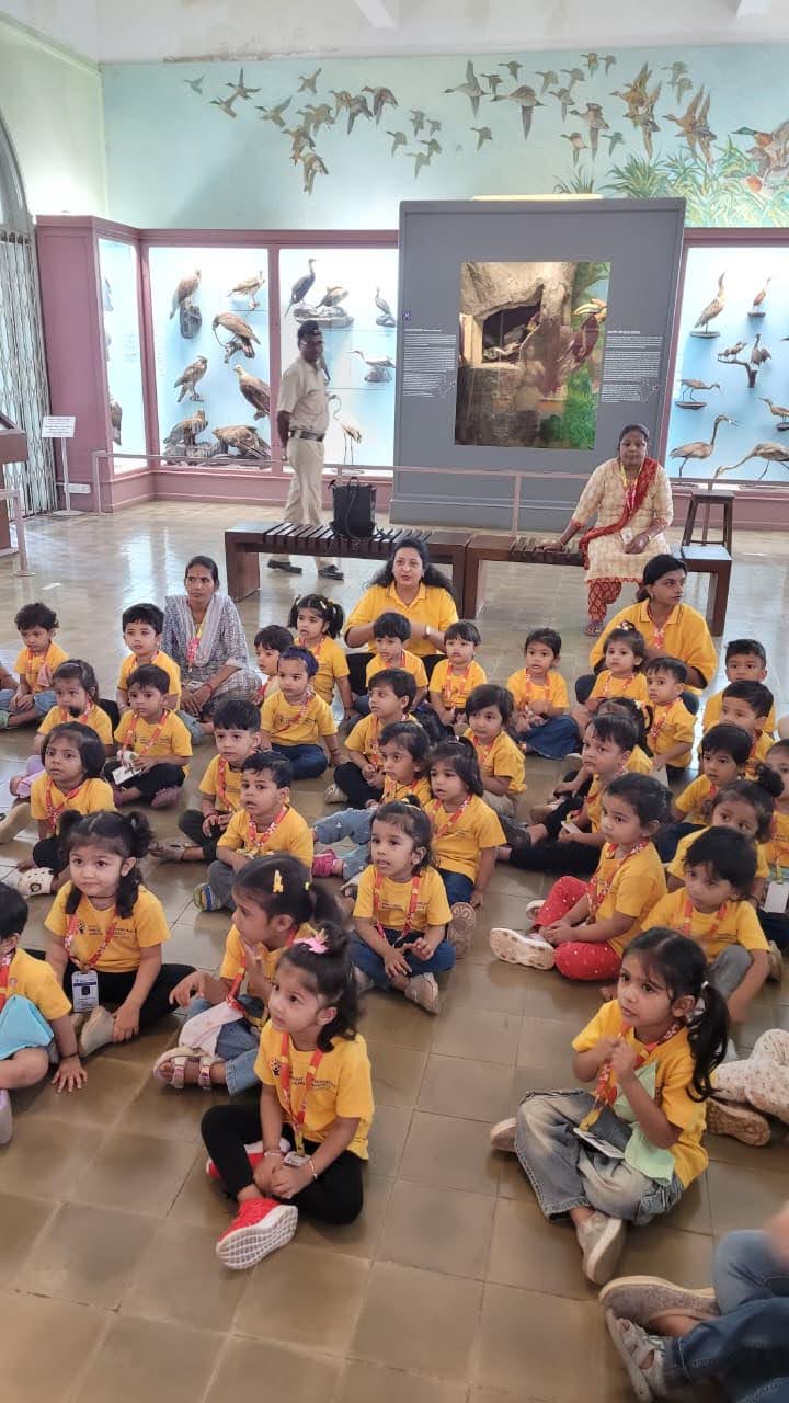 Visit To Museum