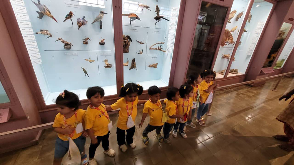 Visit To Museum