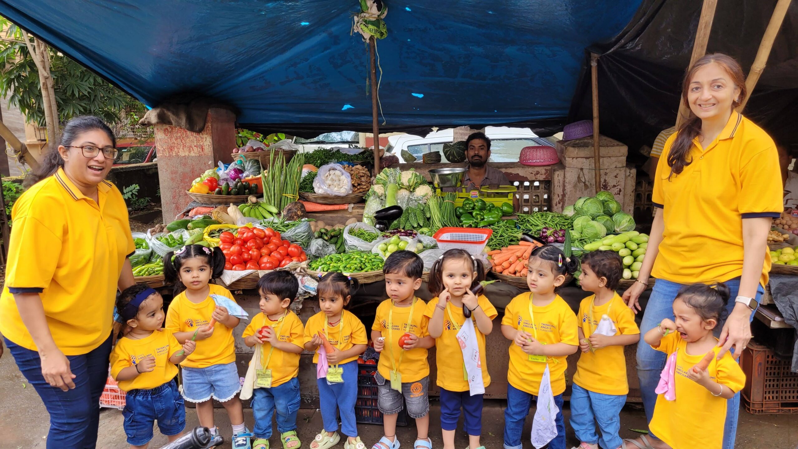 Vegetable Market Setup